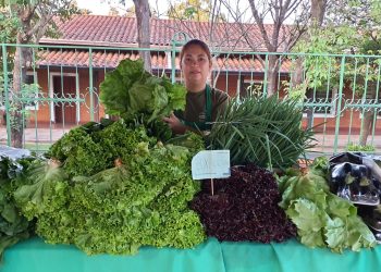 Alimentos del campo a la mesa: organizan ferias del MAG en Asunción, Central y Cordillera