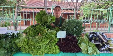 Alimentos del campo a la mesa: organizan ferias del MAG en Asunción, Central y Cordillera