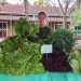 Alimentos del campo a la mesa: organizan ferias del MAG en Asunción, Central y Cordillera