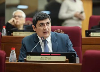 Senadores abordan contaminación minera en Paso Yobái y la afectación a la producción yerbatera