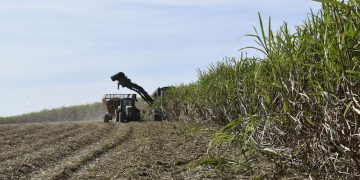 La economía paraguaya mantiene su ritmo de expansión al cierre del primer semestre