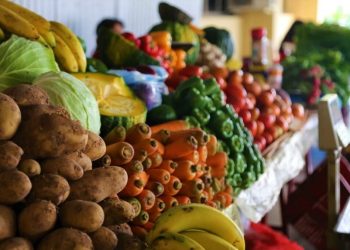 Pequeña suba de precios en julio no frena la caída del costo de los productos en origen