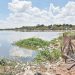Bebé de un año muere ahogado en una laguna en el barrio Tablada Nueva