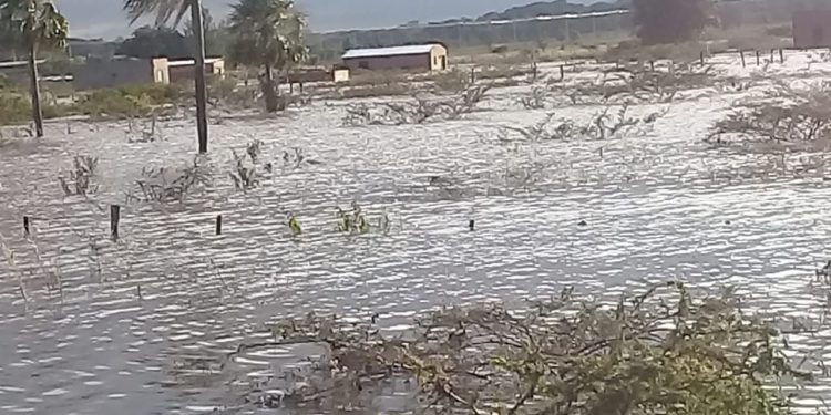 Concepción: pobladores urgen obras de canalización para evitar inundaciones