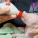 En Argentina nació un cerdo modificado genéticamente para trasplantes humanos