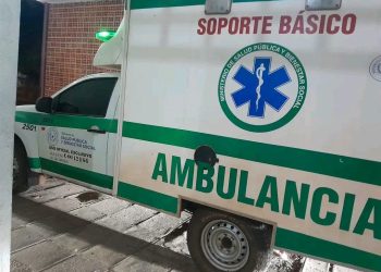 Niña de 11 años sobrevivió a mordedura de mbói chini en Concepción