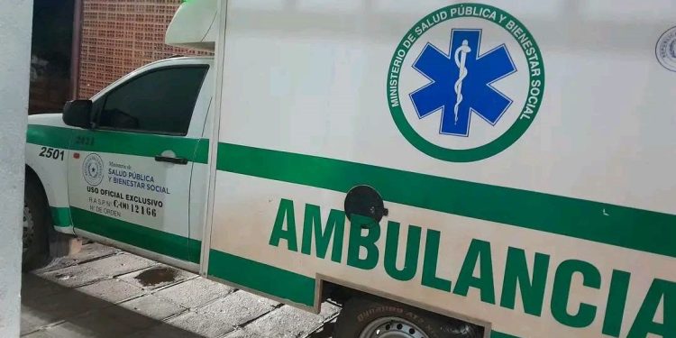 Niña de 11 años sobrevivió a mordedura de mbói chini en Concepción