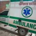 Niña de 11 años sobrevivió a mordedura de mbói chini en Concepción