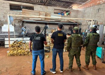 Operativo Ágata dejó millonaria incautación de droga y cigarrillos de contrabando
