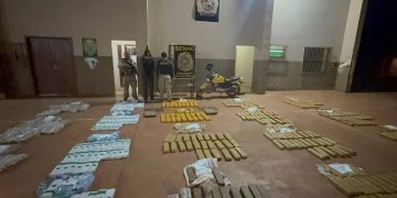 Incautan más de 5.200 kilos de marihuana y destruyen 5 hectáreas de cultivos en Amambay