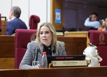 Media sanción al proyecto que agiliza los permisos de viaje para niños con padres deudores
