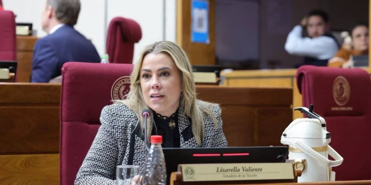 Media sanción al proyecto que agiliza los permisos de viaje para niños con padres deudores