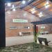 Bebé de 9 meses murió por deshidratación grave en PJC
