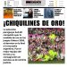 26 Setiembre 2026