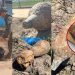 Hallan antiguo artefacto explosivo en el Comité Olímpico Paraguayo
