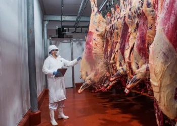 Paraguay supera los USD 1.600 millones en exportaciones de origen animal
