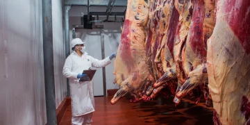 Paraguay supera los USD 1.600 millones en exportaciones de origen animal
