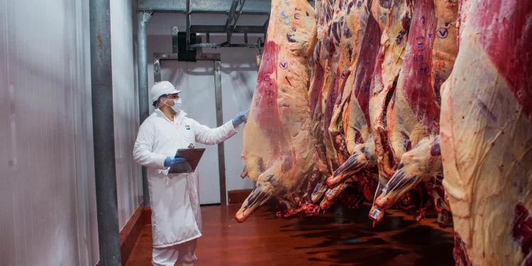 Paraguay supera los USD 1.600 millones en exportaciones de origen animal