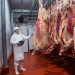 Paraguay supera los USD 1.600 millones en exportaciones de origen animal