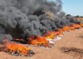 Incineraron 40 toneladas de marihuana valuadas en USD 6,5 millones