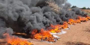 Incineraron 40 toneladas de marihuana valuadas en USD 6,5 millones