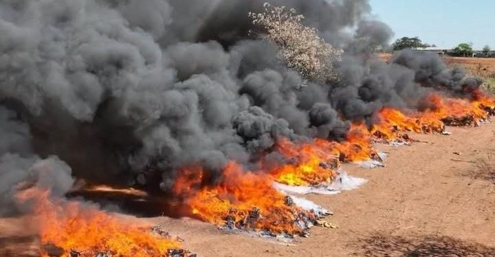 Incineraron 40 toneladas de marihuana valuadas en USD 6,5 millones