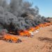 Incineraron 40 toneladas de marihuana valuadas en USD 6,5 millones