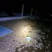 Temporal provocó muerte de 50.000 pollitos y ganado vacuno en Bergthal