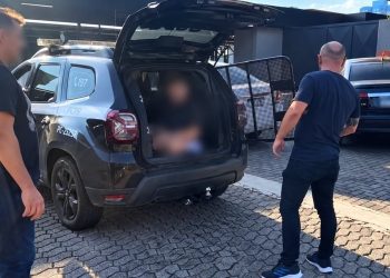 En Brasil, capturaron a paraguayo buscado por robo de camionetas