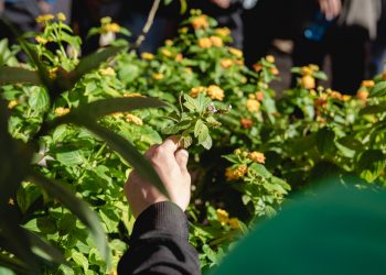 MuCi prepara actividades de ciencia, lectura y creatividad para cerrar septiembre