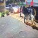 Falsos agentes de la SENAD asaltan la vivienda de un candidato a concejal en Santa Rosa del Monday