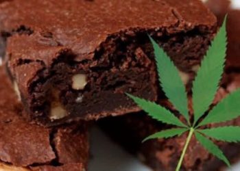 Menores resultan intoxicados tras consumir brownies con marihuana en Colonias Unidas