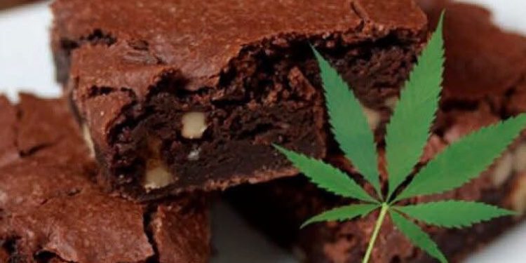 Menores resultan intoxicados tras consumir brownies con marihuana en Colonias Unidas