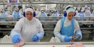 La Unión Europea bloquea la importación de carnes desde Brasil