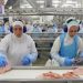 La Unión Europea bloquea la importación de carnes desde Brasil