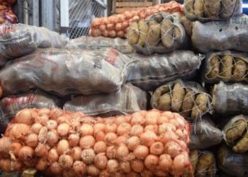 Importadores alertan sobre desabastecimiento de papa y cebolla y cuestionan procesos del MAG