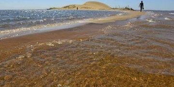 Diputados reclaman a Yacyretá a recuperar las Dunas de San Cosme y Damián