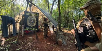 SENAD elimina 28,8 toneladas de marihuana durante operativo en Amambay