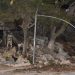 Al menos dos muertos y 81 heridos tras explosiones en un cuartel militar de Bolivia