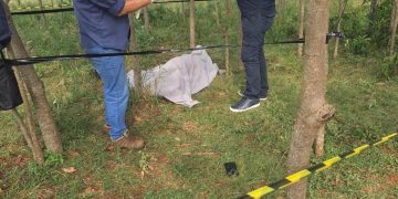Dos hombres mueren tras una violenta riña durante un cumpleaños en Itakyry