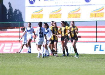Guarani se reencontró con la victoria, al derrotar a Ameliano