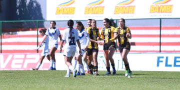 Guarani se reencontró con la victoria, al derrotar a Ameliano