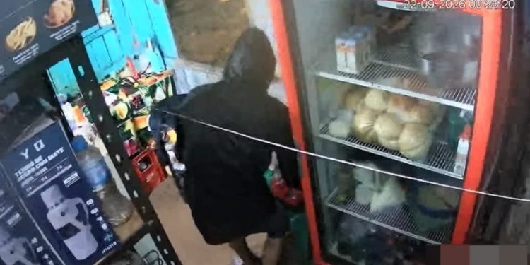 Violentan casilla comercial y roban mercaderías en Choré