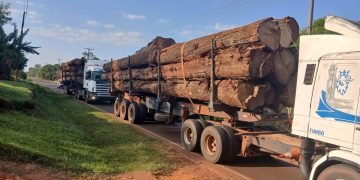 Incautaron dos camiones que transportaban madera nativa en Caaguazú