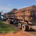 Incautaron dos camiones que transportaban madera nativa en Caaguazú