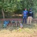 Incautan siete armas y más de 5.000 municiones durante allanamiento en Loma Plata