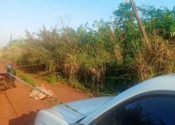 Joven muere electrocutado al manipular tendido eléctrico de la ANDE