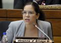 Diputada tildó de «ridícula» la detención por los peluches