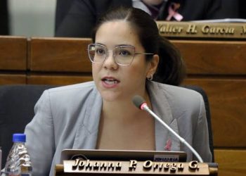 Diputada tildó de «ridícula» la detención por los peluches