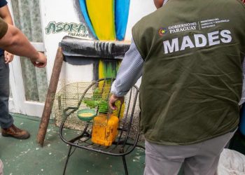 Decomisan aves silvestres ofrecidas para la venta en pleno centro de Luque